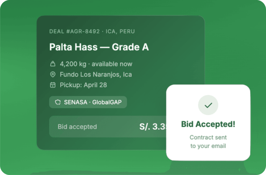 A confirmed Agrovio deal for Grade A Palta Hass with a bid-accepted confirmation