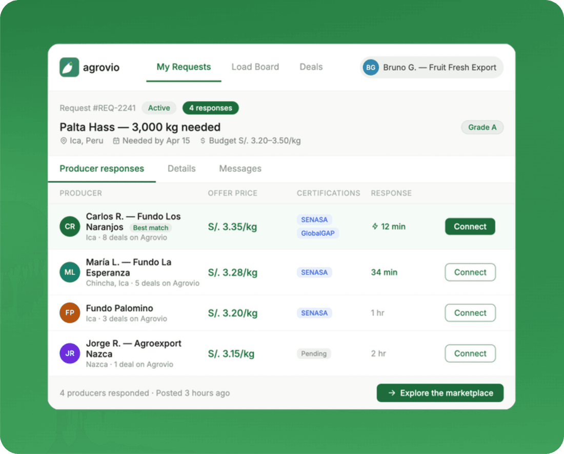 A buyer's sourcing request on Agrovio with multiple verified producers responding with offer prices